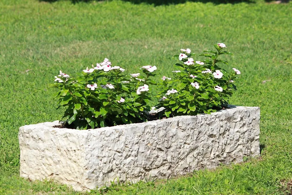 B&B La Grola San Martino Buon Albergo Bed & Breakfast